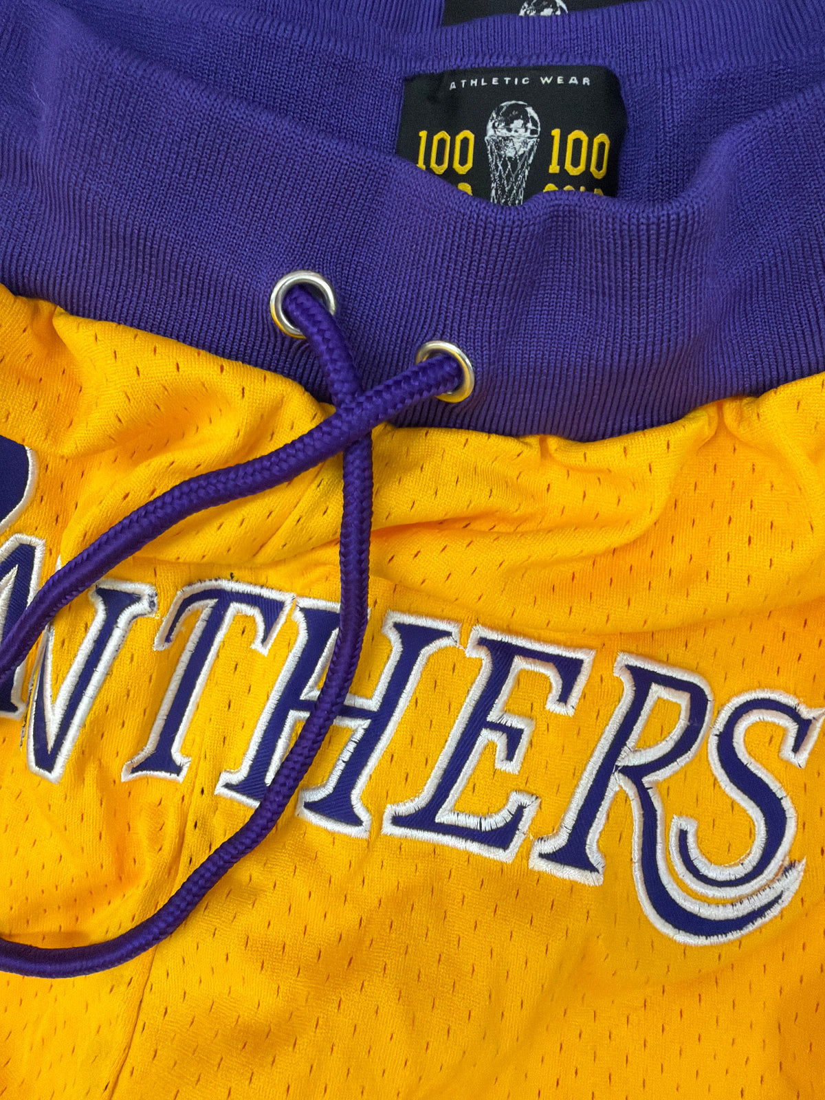 PANTHERS HARDWOOD MESH SHORTS